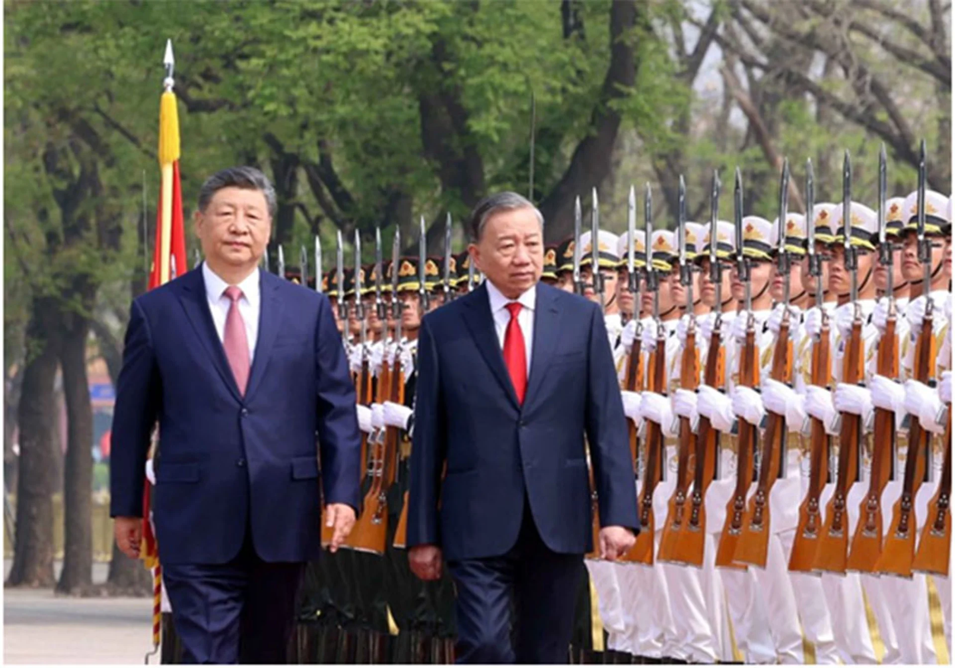 Hình ảnh bài viết