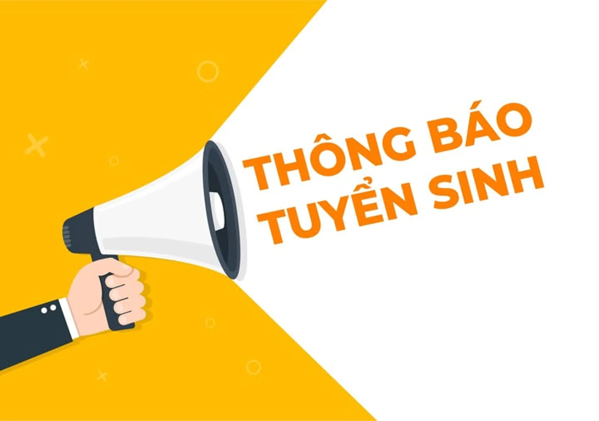 Hình ảnh bài viết