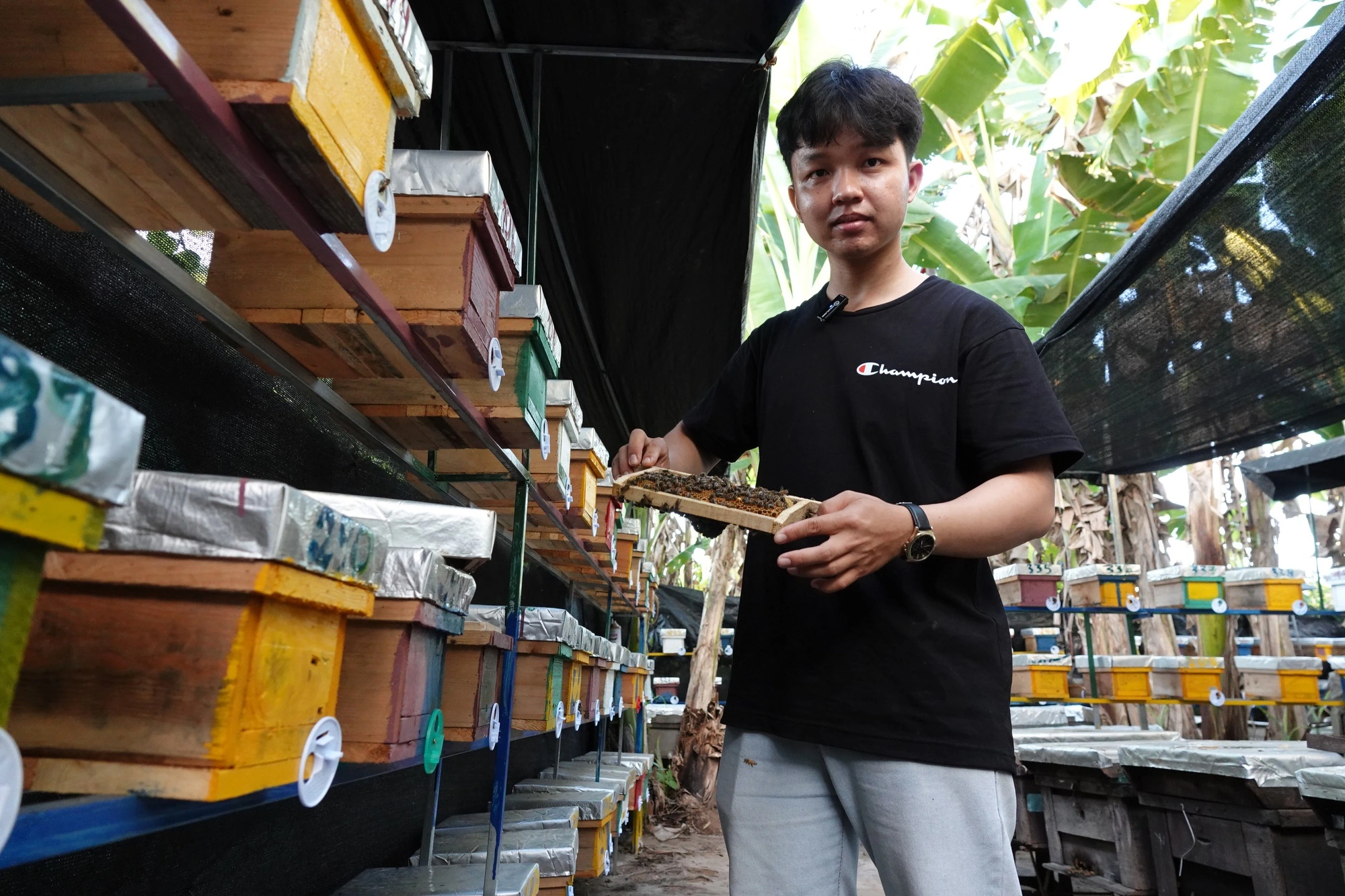 Hình ảnh bài viết