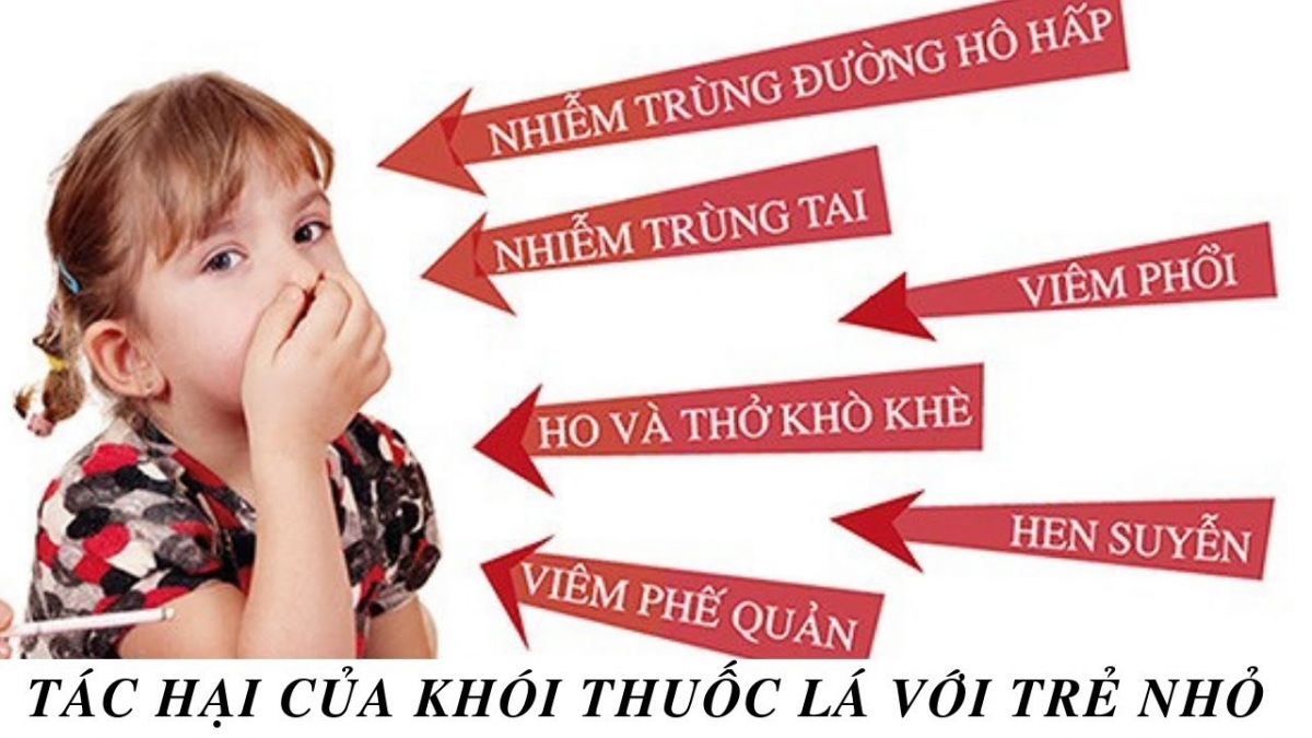 Hình ảnh bài viết