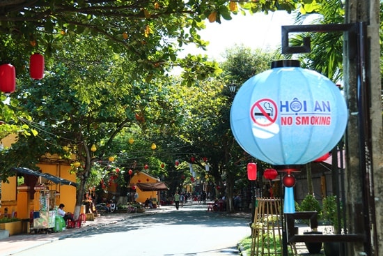 Hình ảnh bài viết